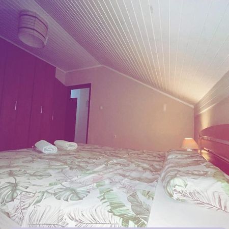 Apartmani Gacic- Šabac المظهر الخارجي الصورة