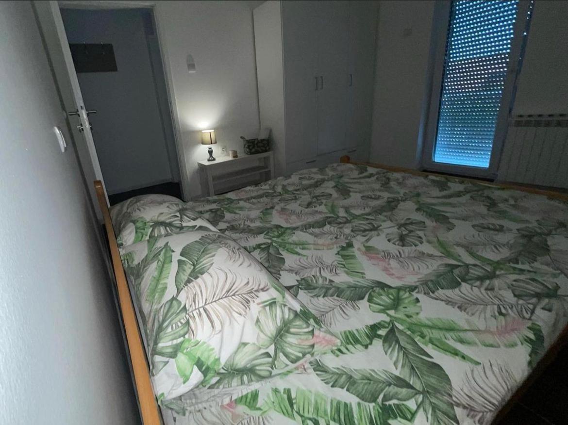 Apartmani Gacic- Šabac المظهر الخارجي الصورة