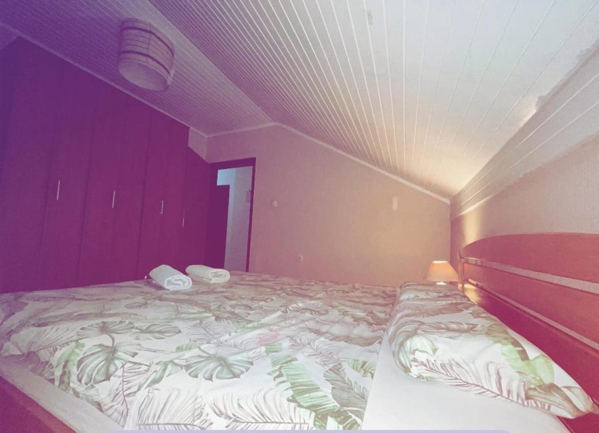 Apartmani Gacic- Šabac المظهر الخارجي الصورة